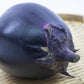 Miyako Nishiki Mirinzuke "Kamo eggplant"